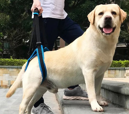 PawLift Dog Support Sling