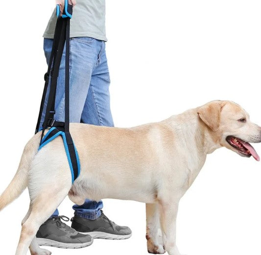PawLift Dog Support Sling